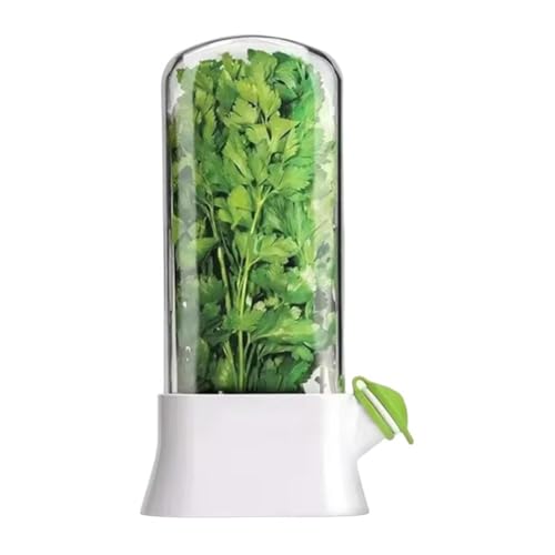 Nuevos suministros de almacenamiento de hierbas para conservación de verduras, utensilios frescos para almacenar hierbas, para guardar hierbas, refrigeradores, contenedores de cilantro, hierbas