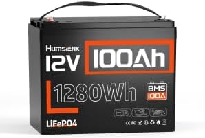 12V 100Ah LiFePO4 Battery Lithium, Built In 100A BMS, Group 24 Size 1280Wh Lithium Battery for Marine,15000 Deep Cycles 10 Years Lifespan for RV Solar Energy Off Grid Trolling Motor (2PACK)