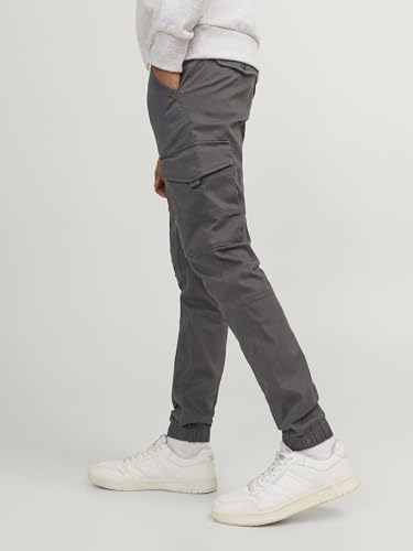 JACK & JONES Heren Paul Flake Cargo Broek Wren