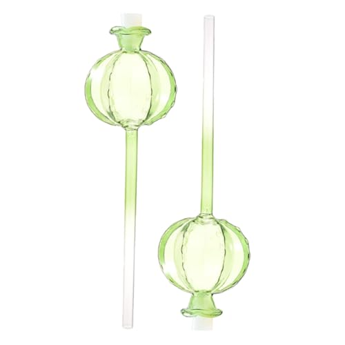 Hemoton 2Pcs Automatic Plant Watering Globes Glass Self Watering Tools for Indoor Plants Convenient Watering Spikes for Hands Plant Care and Watering