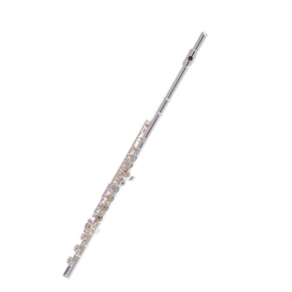 HCZKIUJY 17 Holes Open/Closed Dual Use Silver Plated Flute, for Beginners/Exams/Band Performances/Festival Celebrations,C (A)