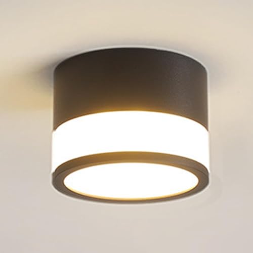 SdaryWare Lámpara de Techo LED cilíndrica para Interiores, 8 W, 3000 K, luz Blanca cálida, Foco de Aluminio, para galería, Cocina, Sala de Estar, Comedor, Dormitorio, lámparas de a,Onecolor
