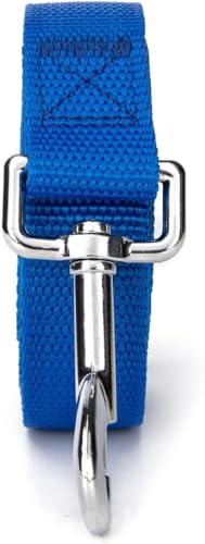 Image of 10 Feet Nylon Training Dog Leash for Small Medium Large Dogs Puppy Lead for Obedience Recall Training, Camping (Blue)
