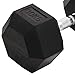 vidaXL Dumbbell 66.1 lb Cast Iron