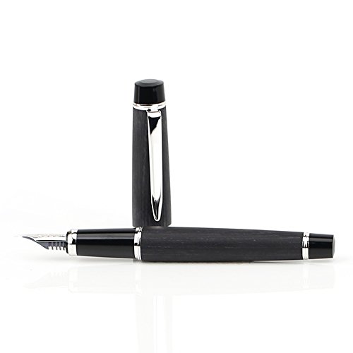 男前ショート軸の万年筆 パイロットレグノ89s - 暮らしと手帳と万年筆