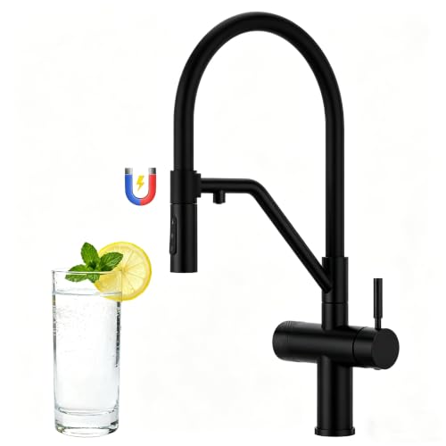 Drei-Wege-Wasserhahn 3 in 1 Armatur Küche Wasserhahn Wasserfilter AL2002 (Black)