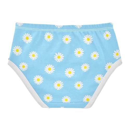 Cotton Girls Underwear Toddlers Daisy Flowers Sky Blue Panties for Girl Florals Kids Briefs Undies 2t2