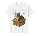Schroedinger's Equation Schroedinger's Cat Teacher