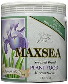 Maxsea 16-16-16 ALL PURPOSE Plant Food 6 LB - Water Soluble Seaweed nutrients supplier_id_thshydro, #UGEIO50261954125360