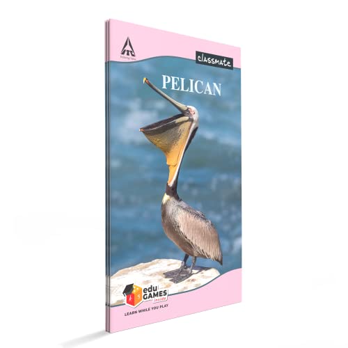 Image of Classmate Octane Neon Gel 25s Jar- 25 Blue Gel Pens Long Book - Single Line, 160 Pages, 314 mm x 194 mm - Pack Of 3