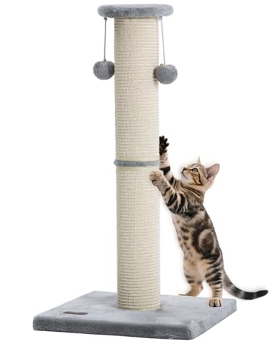 Rascador para gato Kilodor con 2 repuestos de sisal miniatura 2