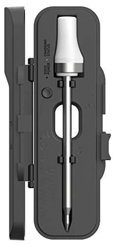Sonde BBQ sans fil HerQs Pin Probe pour réussir vos repas de grillades