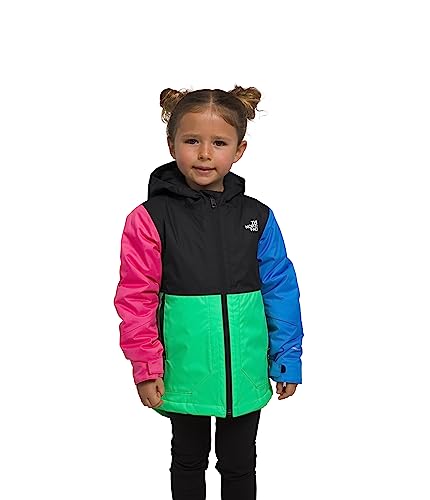 THE NORTH FACE Chaqueta unisex aislada