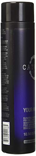 Tigi Catwalk Volume Collection Your Highness Elevating Shampoo, 10.14 Ounce #TOP2