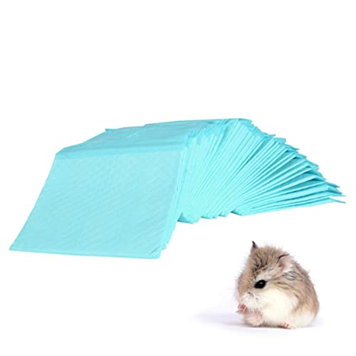 FOMIYES 50 Stück Hund toilettenmatte Töpfchen-Trainingspads für Haustiere Welpe Trainingsunterlagen für Hunde Haustier-Pads Katzen und Hunde Urin-Pad Hund PIPI Pad Hündchen Trainingsmatte