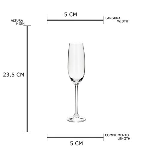 Conjunto de 6 Taças para Champanhe de Vidro Sodo-Cálcico Rojemac Transparente