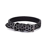 Patapalooza Reflektierendes Halsband aus PU, langlebig und leicht, ideal für nächtliche Spaziergänge, Sicherheit von Haustieren und Sichtbarkeit im Dunkeln.