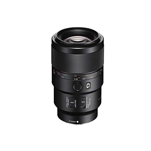 Sony Fe 90Mm F/2.8 Macro G Oss Lens - Bundle With 62Mm Filter Kit, Lens Wrap, Lens Cleaner, Cleaning Kit, Lens Cap Leash - Mac Software Package #TOP1