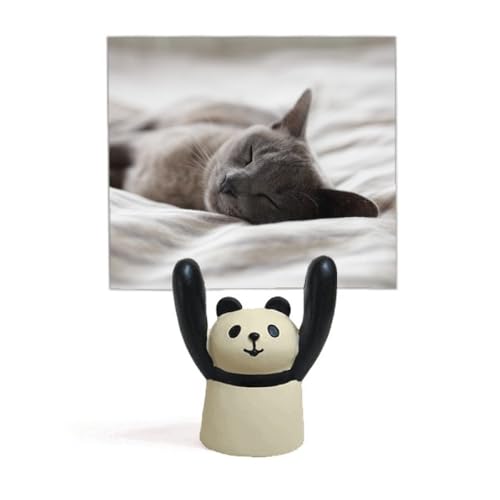 Support photo chat gris mignon panda dessin animé pince mémo bureau