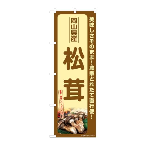 y2Zbgẑڂ艮H[ ̂ڂ 131693 RY W600×H1800mm OO ̑ ɐ 󒍐Yi