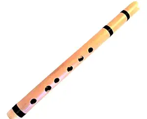Professional Ramos Quenilla Flute in D - Item in USA Case Included