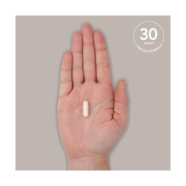 Sports Research Daily Probiotics with Prebiotics, 60 Billion CFU - Vegan Capsules for Gut Health & Digestive Support, Probiotics for Women & Men - Non-GMO Verified & Gluten Free - 30 Count