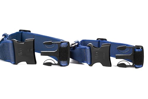 JULIUS K-9 100HA-K-B-2015 Color & Gray K9-Halsband mit Haltegriff, Sicherheitsverschluss und Logo, 40 mm*38-53 cm, verstellbar, blau-grau, 40 mm (38-53 cm)