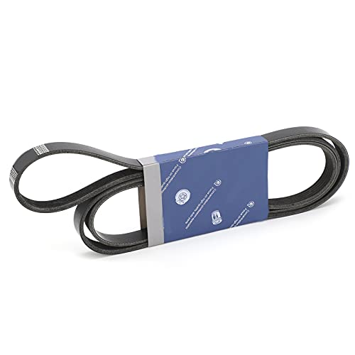Correa serpentina de caucho sintético duradero compatible con Cherokee XJ 2.5 6