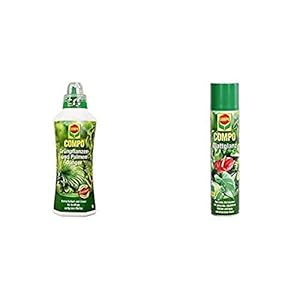 COMPO Grünpflanzen- und Palmendünger für alle Zimmer-, Balkon- und Terrassenpflanzen, Spezial-Flüssigdünger mit extra Kalium und Eisen, 1 Liter & Blattglanz für alle Grünpflanzen, Sprühflasche