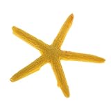 CAPASTEC Starfish Decor, Colorful Coral Reef Decor for Fish Tank, 2.36x2.44 Inch...