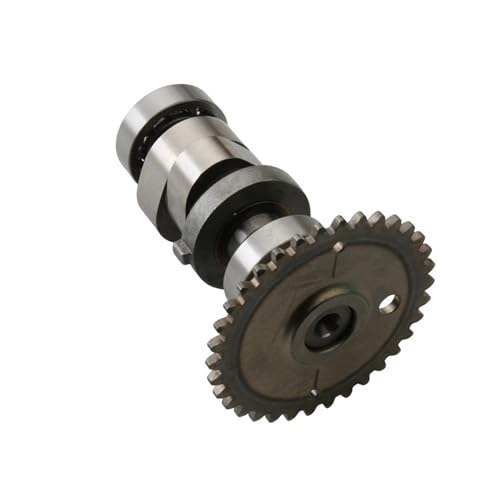 Arbre à cames M300 K X250 pour moteur 300cc 4 temps 14100-LDB2-E00