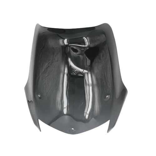 Pare-brise de moto BMW F 650 GS pour voyages et trajets