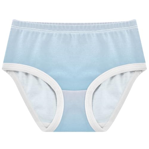 Joisal Toddler Underwear Floral 2t Cotton Little Girl Panties Aesthetic Kids Undies Briefs Magnolia Sky Blue Gradient
