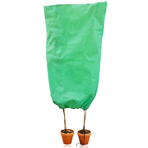 GardenGloss® Voile d'hivernage [Différentes Dimensions et Couleurs] - Protection hivernage pour Plantes en Pots et Palmiers - Résistant à la déchirure, Stable aux UV et réutilisable Cover