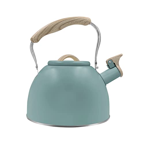 Top 10 Best Rust Proof Tea Kettle Reviews & Buying Guide Katynel