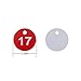 StayMax Plastic ID Number Tags Engraved Tags Key Tags Without Key Rings (1-100, Red)
