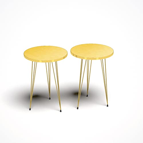Pak Home Set Of 2 High Gloss Gold End Tables Round Wood Sofa Side Coffee Tables For Small Spaces, Nightstand Bedside Table With Metal Legs For Bedroom, Living Room, Office, Balcony #TOP3