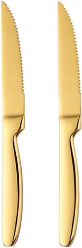 Xe[LiCt 2{ S22cm I[XeX H@Ή FI\ ubN (Gold)