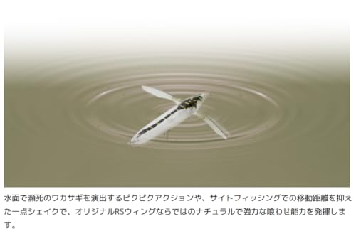 イマカツ(Imakatsu) アベンタクローラーバゼル #929 フルメタル/ (スタンダードカラー) 4枚目