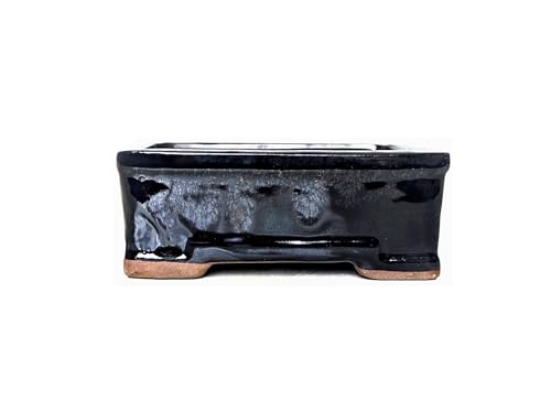 Glazed Ceramic Bonsai Pots without trays (Black, 16cm)