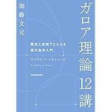 ガロア理論12講　概念と直観でとらえる現代数学入門 (角川学芸出版単行本)