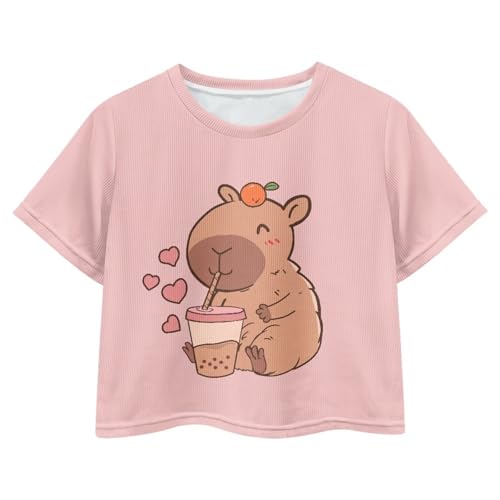Image of Girls Crop Tees Crew Neck Casual Short Sleeve T Shirts Kids Loose Soft Comfortable Tees Blouses Shirt for Little Girl