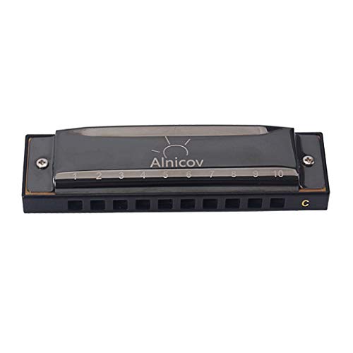 Harmonica 10 trous 20 mélodies orgue à bouche avec étui rigide et chiffon de soin - 5