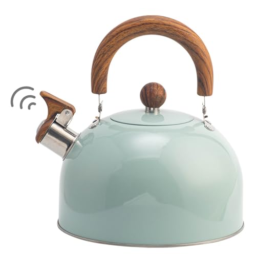 Bouilloire à sifflet induction en acier inoxydable 3 L vert clair sans odeur