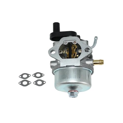 Carburateur pour 801255 CCR2450 CCR3650 pour réparer les fuites d'essence et les calages