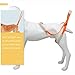 VANZACK Adjustable Dog Harness Pet Sling for Nail Trimming Dog Sling Carrier Lifter Comfortable Handle