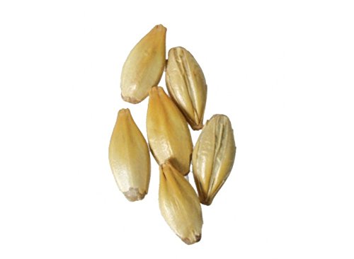 Malt - Briess - Caramel 60L (50 lb Sack)