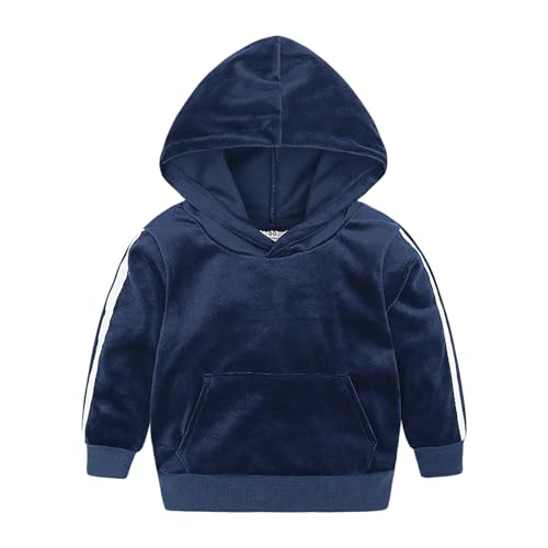 Toddler Boys Girls 2 Piece Velvet Sweatsuit Outfits Kids Long Sleeve Pullover Hoodie and Sweatpants Set2