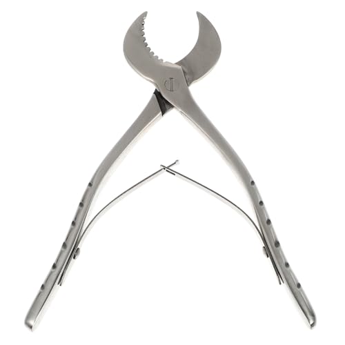 LIFKOME �����p�X�e�����X���؍ފ���y���` �؂̔�j�Ӌ@�\�t�� �y�ʌg�щ\ �Y���ނ̗�����o���� ��H��