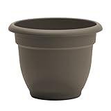 Bloem Ariana Self Watering Planter, 6